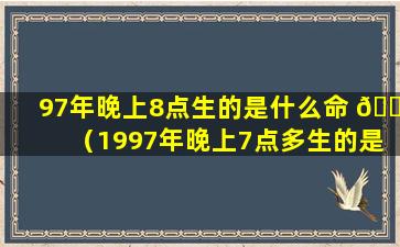 97年晚上8点生的是什么命 🌺 （1997年晚上7点多生的是什么命）